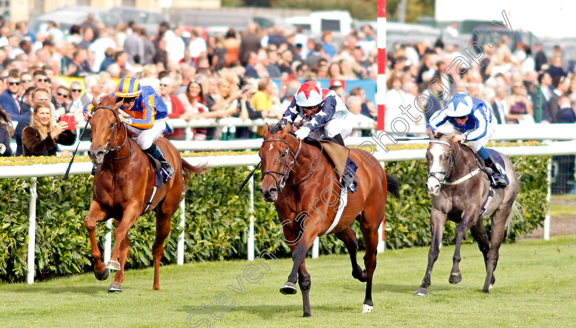 Sir-Dancealot-0002 
 SIR DANCEALOT (Gerald Mosse) beats NEVER NO MORE (left) and SHINE SO BRIGHT (right) in The Hird Rail Group Park Stakes
Doncaster 14 Sep 2019 - Pic Steven Cargill / Racingfotos.com