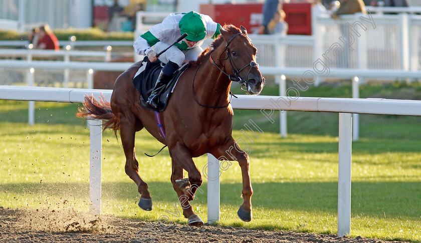 Pfingstberg-0001 
 PFINGSTBERG (Callum Shepherd) wins The Betfair Racing Podcasts Handicap
Chelmsford 3 Oct 2024 - Pic Steven Cargill / Racingfotos.com