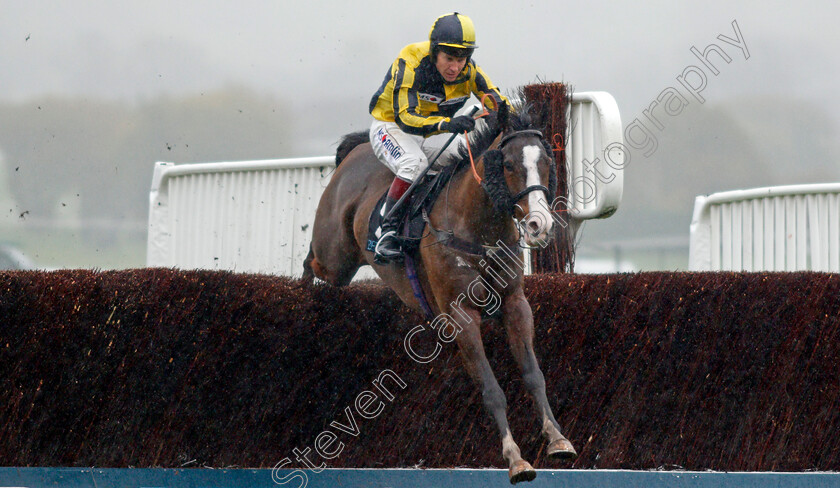 Three-Faces-West-0003 
 THREE FACES WEST (Richard Johnson) Cheltenham 18 Nov 2017 - Pic Steven Cargill / Racingfotos.com