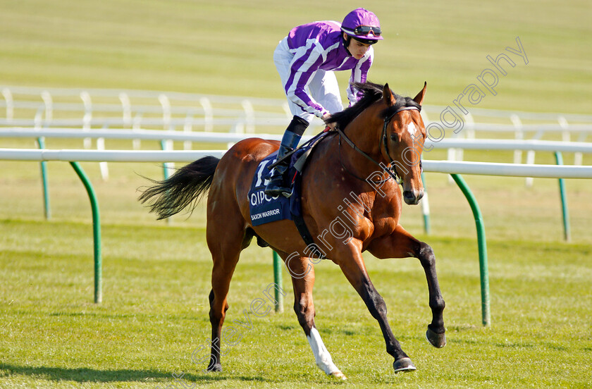 Saxon-Warrior-0001 
 SAXON WARRIOR (Donnacha O'Brien) before The Qipco 2000 Guineas Newmarket 5 May 2018 - Pic Steven Cargill / Racingfotos.com