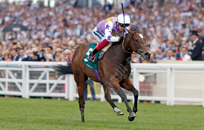 Lezoo-0005 
 LEZOO (Frankie Dettori) wins The Princess Margaret Keeneland Stakes
Ascot 23 Jul 2022 - Pic Steven Cargill / Racingfotos.com