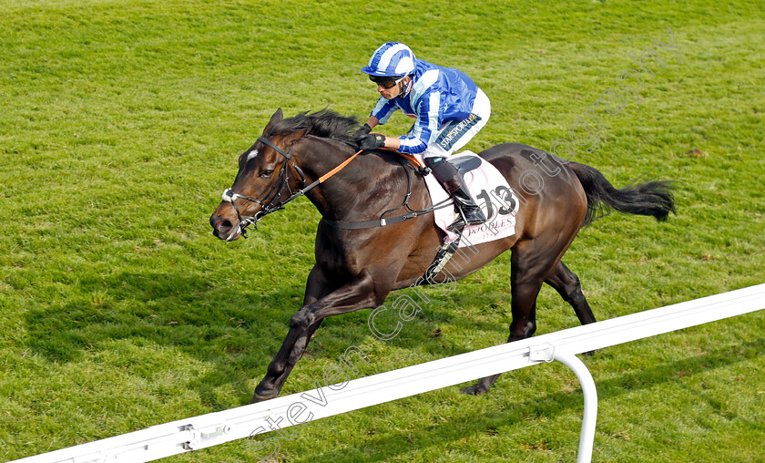 Pride-Of-America-0005 
 PRIDE OF AMERICA (Silvestre De Sousa) wins The Boodles Raindance Handicap
Chester 5 May 2022 - Pic Steven Cargill / Racingfotos.com