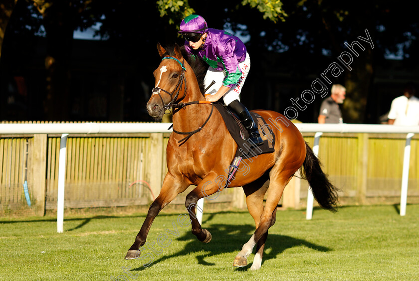 Antiphon-0001 
 ANTIPHON (Tom Marquand)
Newmarket 9 Aug 2024 - Pic Steven Cargill / Racingfotos.com