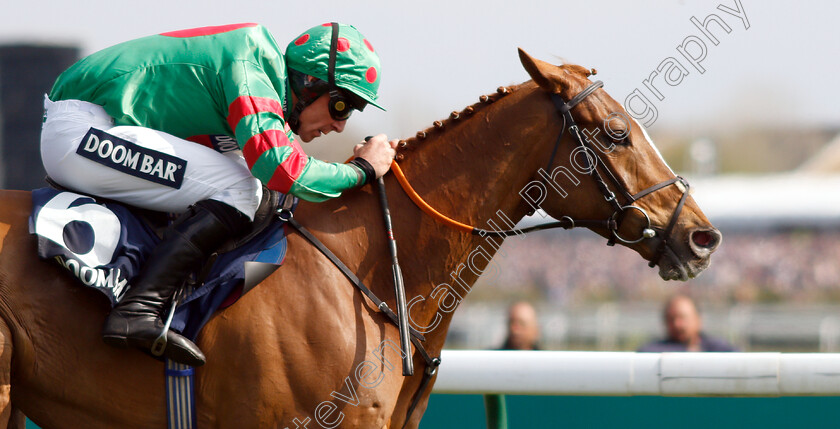 Ornua-0007 
 ORNUA (Davy Russell) wins The Doom Bar Maghull Novices Chase
Aintree 6 Apr 2019 - Pic Steven Cargill / Racingfotos.com