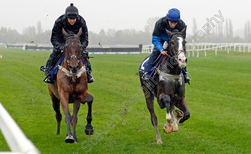 Oscar-Elite-and-Fiddlerontheroof-0001 
 OSCAR ELITE (right, Harry Kimber) with FIDDLERONTHEROOF (left, Brendan Powell) at Coral Gold Cup Weekend Gallops Morning
Newbury 15 Nov 2022 - Pic Steven Cargill / Racingfotos.com