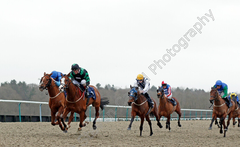 Alvaro-0002 
 ALVARO (Franny Norton) wins The Heed Your Hunch At Betway Handicap
Lingfield 14 Feb 2020 - Pic Steven Cargill / Racingfotos.com