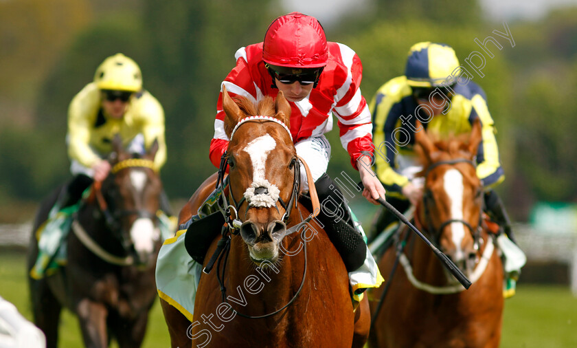 Hand-Of-God-0001 
 HAND OF GOD (Ryan Moore) wins The bet365 Esher Cup
Sandown 26 Apr 2024 - Pic Steven Cargill / Racingfotos.com