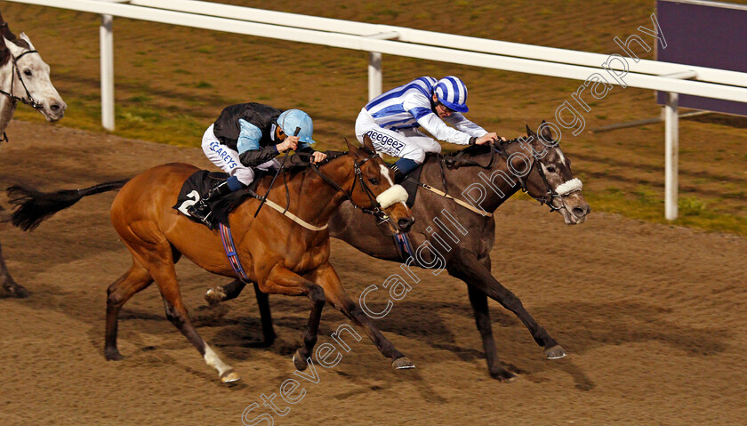 Spring-Romance-0004 
 SPRING ROMANCE (right, David Probert) beats HEALING POWER (left) in The CCR Handicap
Chelmsford 4 Mar 2021 - Pic Steven Cargill / Racingfotos.com