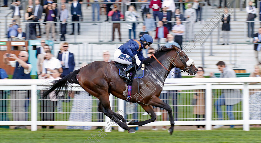 Alazwar-0002 
 ALAZWAR (Brodie Hampson) wins The Thoroughbred Industry Employee Awards Amateur Jockeys Handicap
Ascot 6 Oct 2023 - Pic Steven Cargill / Racingfotos.com