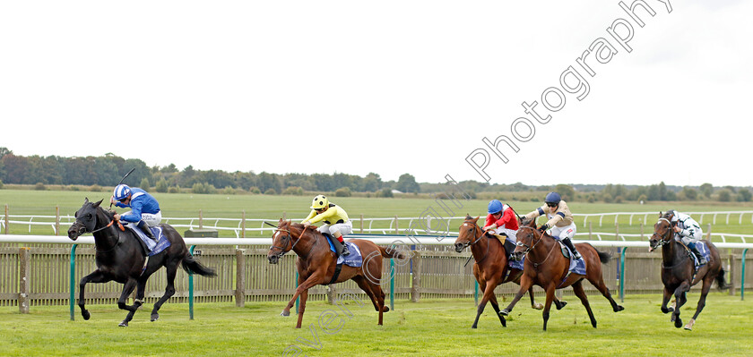 Mutasaabeq-0005 
 MUTASAABEQ (Jim Crowley) beats EL DRAMA (2nd left) in The Al Basti Equiworld Dubai Joel Stakes
Newmarket 23 Sep 2022 - Pic Steven Cargill / Racingfotos.com