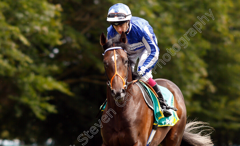 Mystery-Power-0001 
 MYSTERY POWER (Oisin Murphy) before The bet365 Superlative Stakes
Newmarket 13 Jul 2019 - Pic Steven Cargill / Racingfotos.com