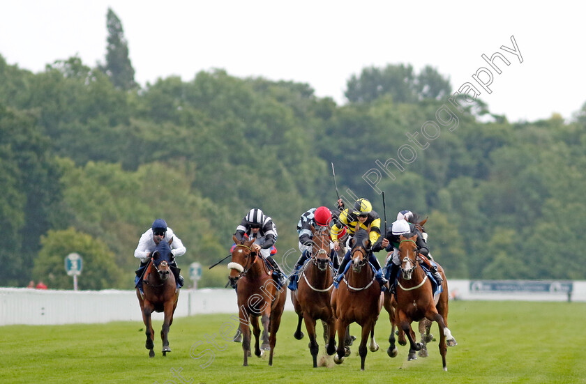 Haliphon-0001 
 HALIPHON (right, Royston Ffrench) beats MONSIEUR LAMBRAYS (2nd right, Oisin Orr) in The Andy Thornton Hospitality Furniture Handicap
York 10 Jun 2022 - Pic Steven Cargill / Racingfotos.com