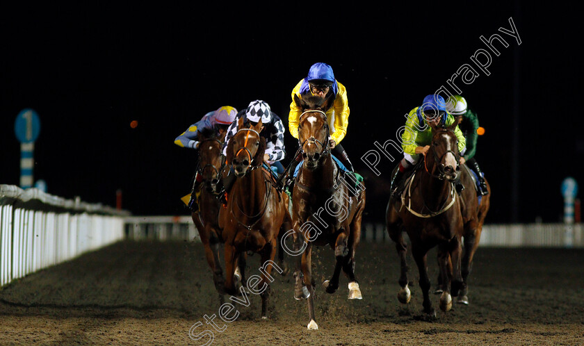 El-Misk-0003 
 EL MISK (Robert Havlin) wins The Matchbook Casino Handicap
Kempton 3 Sep 2019 - Pic Steven Cargill / Racingfotos.com