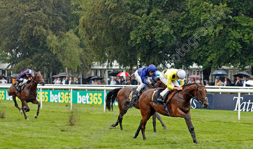 Arabic-Legend-0003 
 ARABIC LEGEND (Rob Hornby) wins The Weatherbys British EBF Maiden Stakes
Newmarket 14 Jul 2023 - Pic Steven Cargill / Racingfotos.com