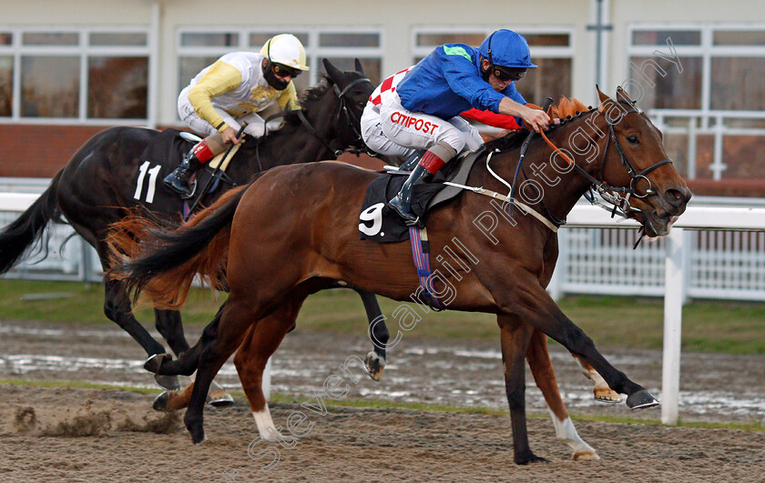 Silvestris-0006 
 SILVESTRIS (Franny Norton) wins The EBF Novice Auction Stakes
Chelmsford 22 Oct 2020 - Pic Steven Cargill / Racingfotos.com