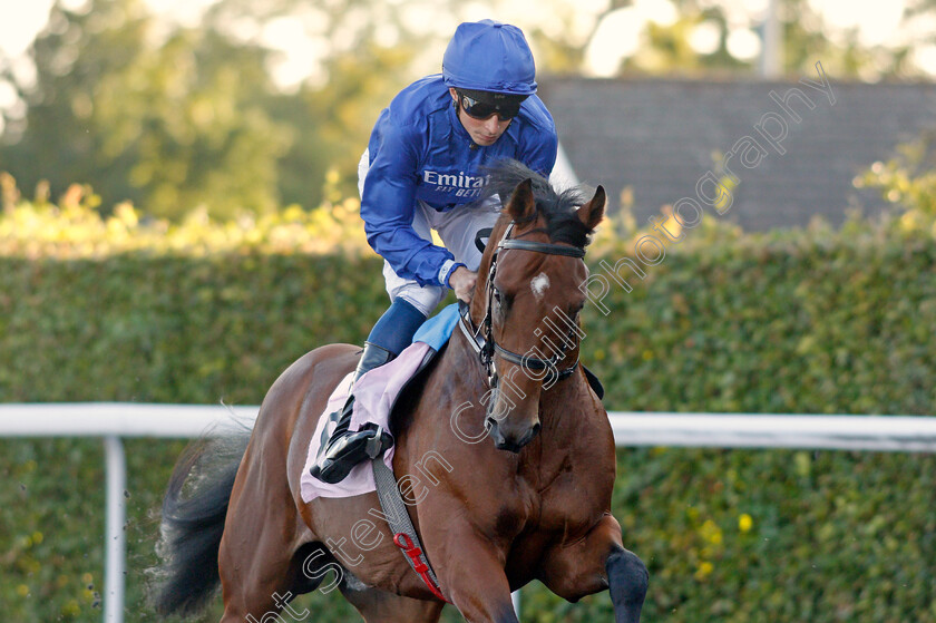 King s-Guard-0001 
 KING'S GUARD (William Buick)
Kempton 4 Aug 2021 - Pic Steven Cargill / Racingfotos.com