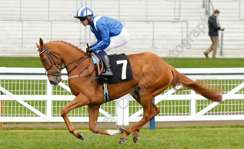 Fayqa-0002 
 FAYQA (Jim Crowley)
Ascot 1 May 2024 - Pic Steven Cargill / Racingfotos.com