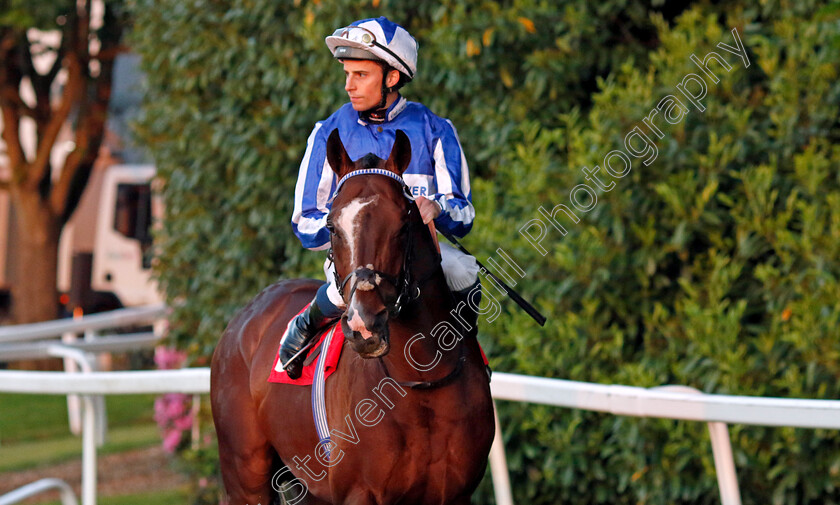 Umberto-0001 
 UMBERTO (William Buick)
Sandown 25 May 2023 - Pic Steven Cargill / Racingfotos.com