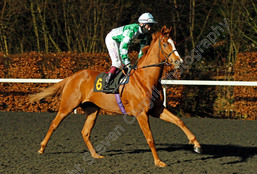 Red-Flyer-0001 
 RED FLYER (Cieren Fallon)
Kempton 3 Mar 2021 - Pic Steven Cargill / Racingfotos.com