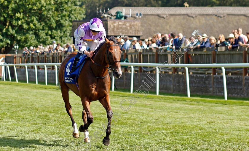 Kinross-0001 
 KINROSS (William Buick)
Newmarket 15 Jul 2023 - Pic Steven Cargill / Racingfotos.com