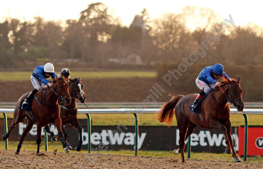 Caliandra-0002 
 CALLIANDRA (Kieran O'Neill) wins The 32Red Maiden Fillies Stakes Lingfield 10 Jan 2018 - Pic Steven Cargill / Racingfotos.com