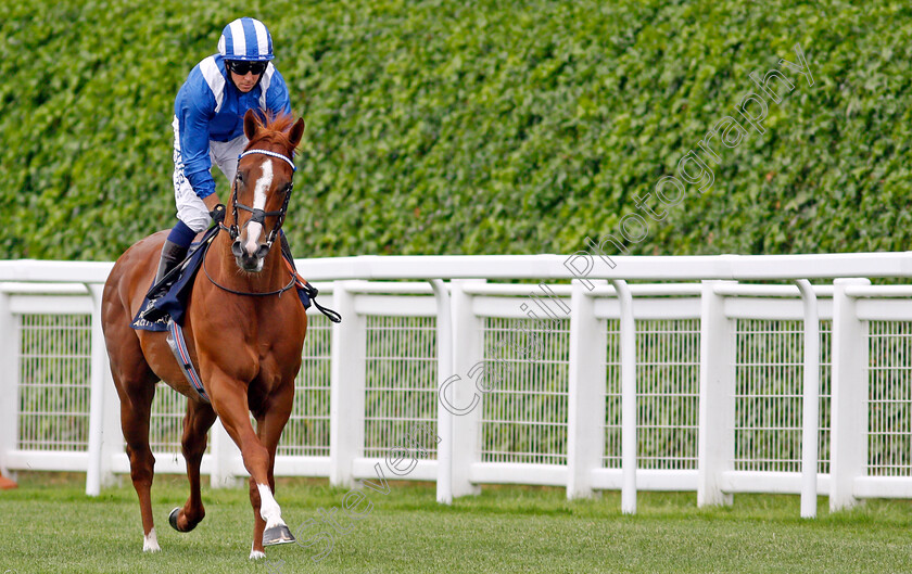 Mohaafeth-0001 
 MOHAAFETH (Jim Crowley) winner of The Hampton Court Stakes
Royal Ascot 17 Jun 2021 - Pic Steven Cargill / Racingfotos.com