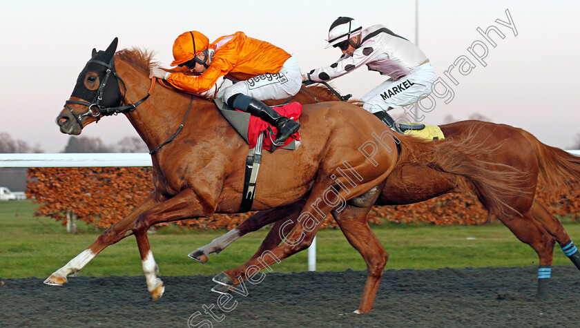 Rajman-0002 
 RAJMAN (David Probert) wins The All Weather Racing Information At sandform.co.uk Handicap
Kempton 4 Dec 2019 - Pic Steven Cargill / Racingfotos.com