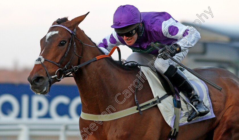 Nestor-Park-0004 
 NESTOR PARK (David Bass) wins The Elite AV Standard Open National Hunt Flat Race Ascot 25 Nov 2017 - Pic Steven Cargill / Racingfotos.com