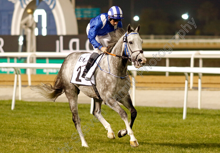 Alfareeq-0001 
 ALFAREEQ (Dane O'Neill)
Meydan 3 Feb 2023 - Pic Steven Cargill / Racingfotos.com