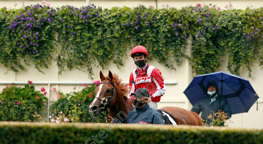 Berkshire-Rocco-0007 
 BERKSHIRE ROCCO (Oisin Murphy) after The Teentech Noel Murless Stakes
Ascot 2 Oct 2020 - Pic Steven Cargill / Racingfotos.com