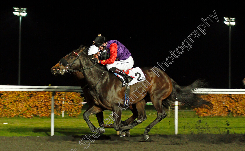 Desert-Flyer-0002 
 DESERT FLYER (Robert Havlin) wins The Unibet Casino Deposit £10 Get £40 Bonus Novice Stakes
Kempton 11 Nov 2020 - Pic Steven Cargill / Racingfotos.com