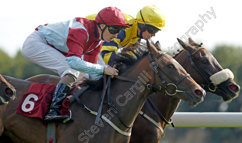 Oscar s-Sister-0003 
 OSCAR'S SISTER (farside, Graham Lee) beats CLARETINA (nearside) in The Development Funding Nursery
Haydock 1 Sep 2022 - Pic Steven Cargill / Racingfotos.com