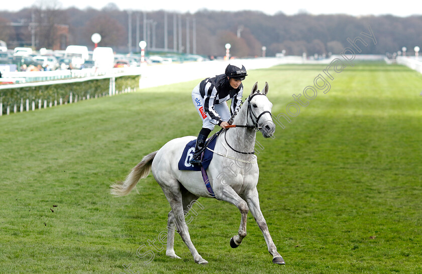 Demilion-0001 
 DEMILION (Joanna Mason)
Doncaster 2 Apr 2023 - Pic Steven Cargill / Racingfotos.com