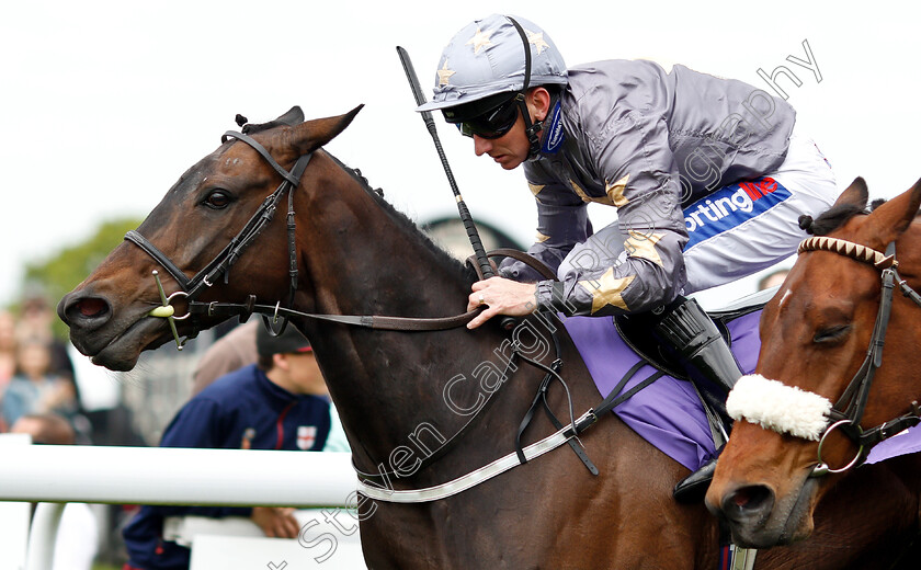 Gabrial-The-Tiger-0005 
 GABRIAL THE TIGER (Paul Hanagan) wins The Very Happy Retirement Bill Gray Handicap Div1
Beverley 29 May 2019 - Pic Steven Cargill / Racingfotos.com