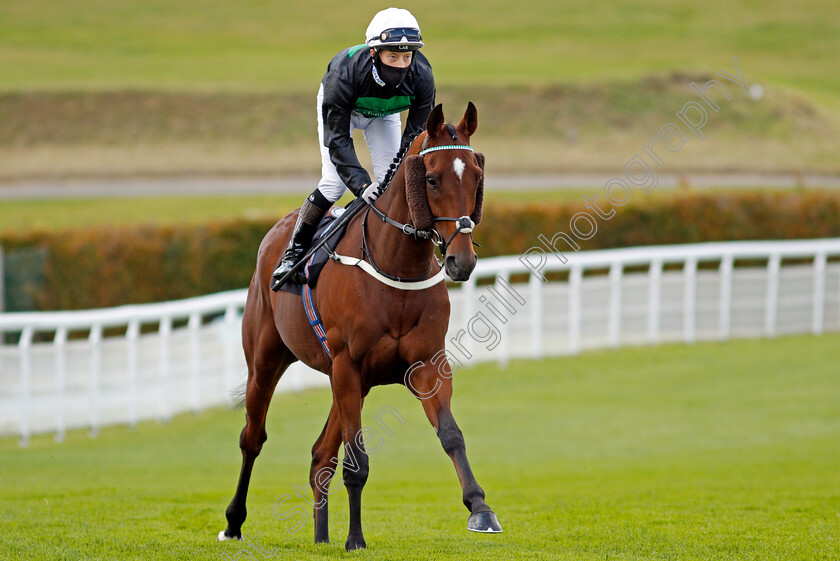 Always-Resolute-0001 
 ALWAYS RESOLUTE (Gavin Ashton)
Goodwood 11 Oct 2020 - Pic Steven Cargill / Racingfotos.com