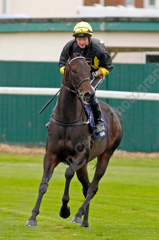 Alcazan-0008 
 ALCAZAN (William Carson) wins The Moulton Nurseries Fillies Handicap
Yarmouth 19 Sep 2023 - Pic Steven Cargill / Racingfotos.com