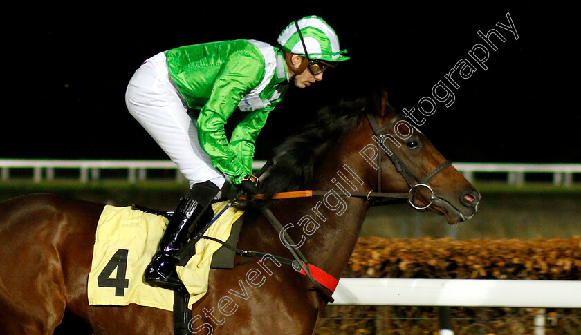 Landue-0001 
 LANDUE (James Doyle)
Kempton 21 Nov 2018 - Pic Steven Cargill / Racingfotos.com