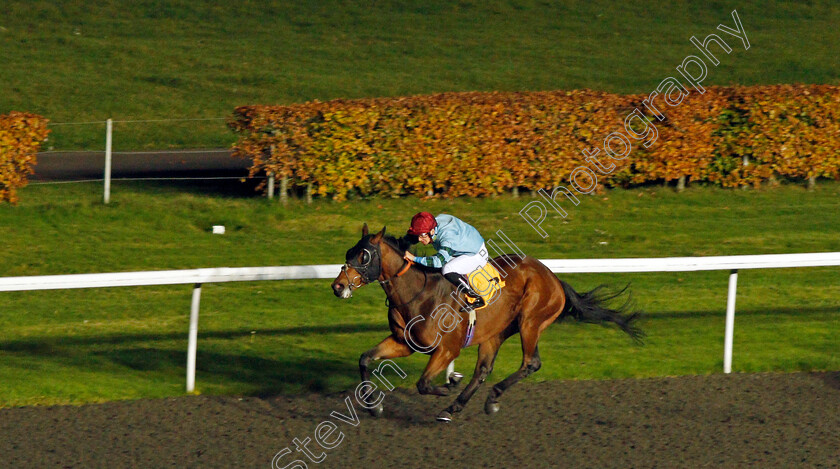 Volturnus-0003 
 VOLTURNUS (Nicky Mackay) wins The 32Red On The App Store Handicap Kempton 8 Nov 2017 - Pic Steven Cargill / Racingfotos.com