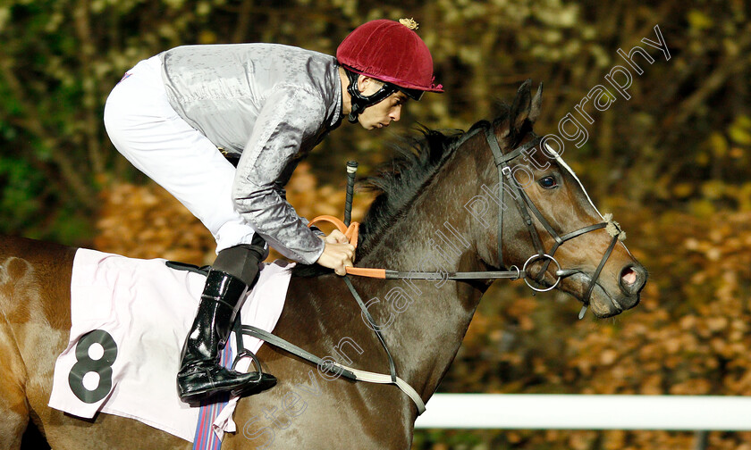 Al-Messila-0002 
 AL MESSILA (Sean Levey)
Kempton 5 Dec 2018 - Pic Steven Cargill / Racingfotos.com