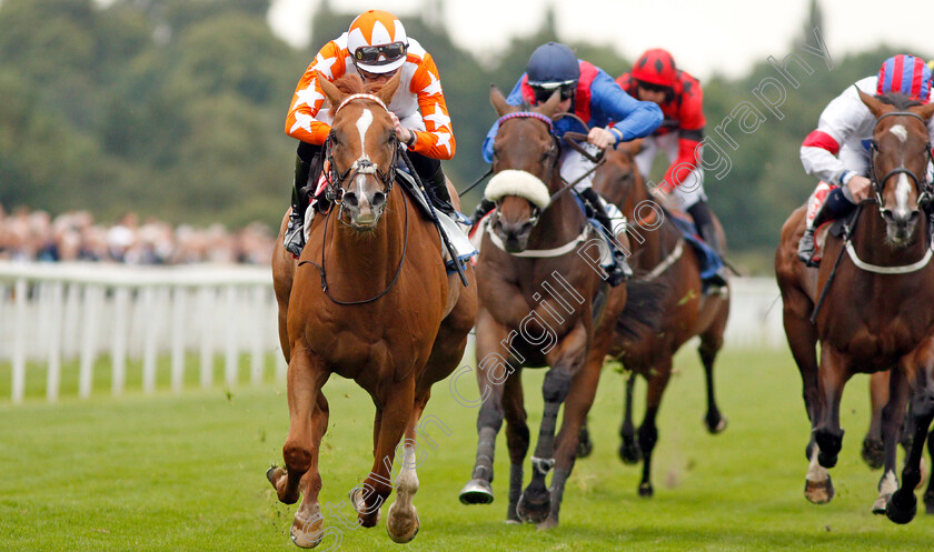 Eddystone-Rock-0003 
 EDDYSTONE ROCK (James Doyle) wins The Sky Bet Handicap
York 21Aug 2019 - Pic Steven Cargill / Racingfotos.com