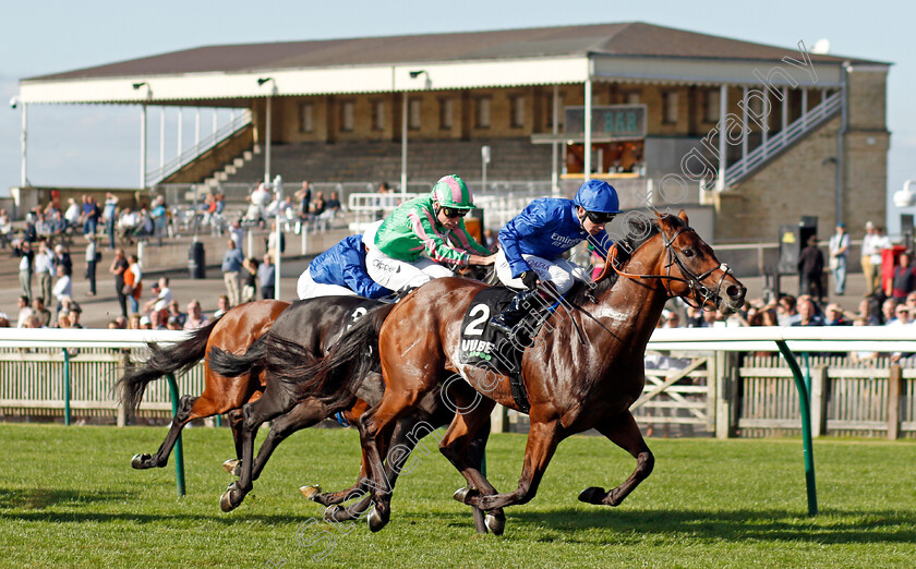 Benbatl-0002 
 BENBATL (Oisin Murphy) wins The Unibet Joel Stakes
Newmarket 24 Sep 2021 - Pic Steven Cargill / Racingfotos.com