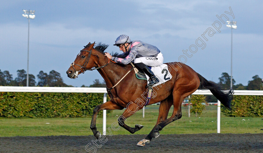 Regal-Director-0002 
 REGAL DIRECTOR (Daniel Tudhope) wins The 32red.com Handicap
Kempton 9 Oct 2019 - Pic Steven Cargill / Racingfotos.com