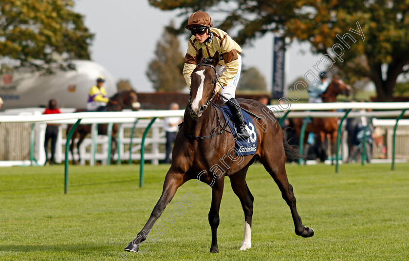 Yeulan-0001 
 YEULAN (Aidan Keeley)
Newmarket 7 Oct 2023 - Pic Steven Cargill / Racingfotos.com