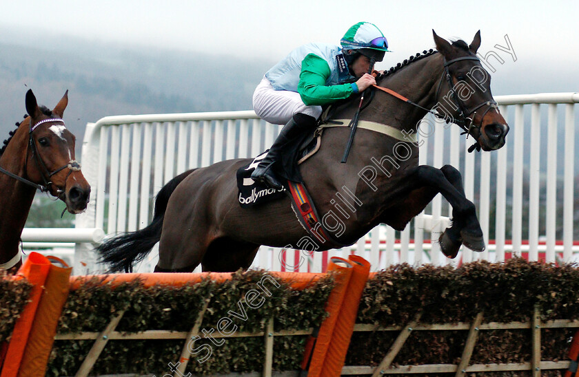 Double-Treasure-0001 
 DOUBLE TREASURE (Gavin Sheehan) 
Cheltenham 16 Nov 2018 - Pic Steven Cargill / Racingfotos.com