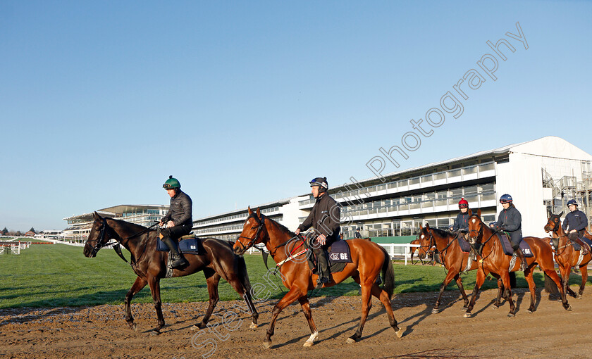 Delta-Work-and-Britzka-0001 
 DELTA WORK and BRITZKA at exercise on the eve of the Cheltenham Festival
Cheltenham 14 Mar 2022 - Pic Steven Cargill / Racingfotos.com