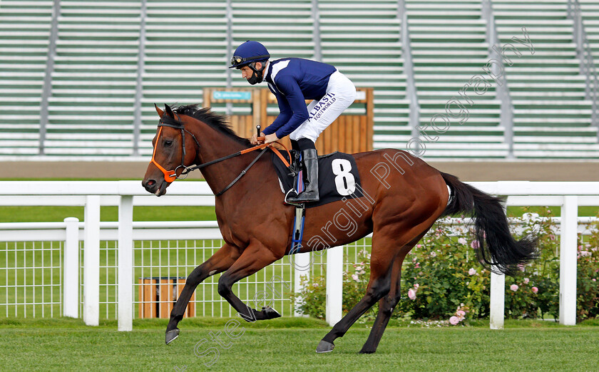 Mohawk-King-0001 
 MOHAWK KING (Pat Dobbs) before winning The Anders Foundation British EBF Crocker Bulteel Maiden Stakes
Ascot 25 Jul 2020 - Pic Steven Cargill / Racingfotos.com