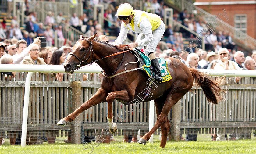 King s-Advice-0003 
 KING'S ADVICE (Joe Fanning) wins The bet365 Trophy
Newmarket 12 Jul 2019 - Pic Steven Cargill / Racingfotos.com