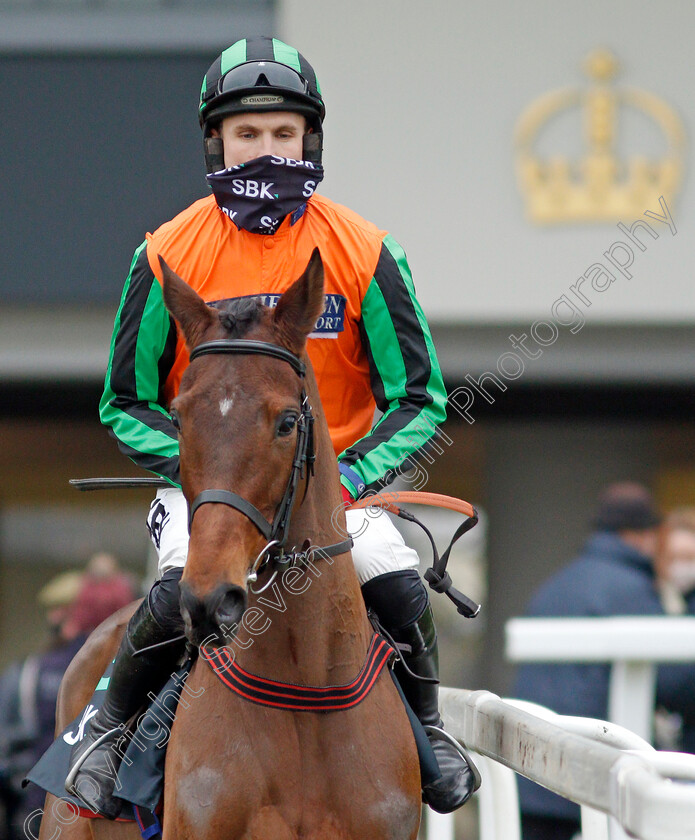 Western-Victory-0001 
 WESTERN VICTORY (Tom Bellamy)
Ascot 22 Jan 2022 - Pic Steven Cargill / Racingfotos.com