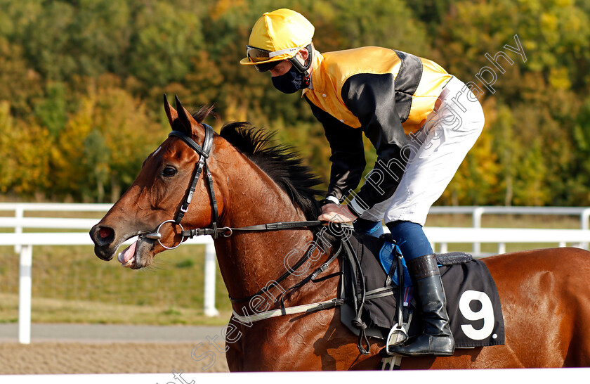 Minori-0001 
 MINORI (Daniel Muscutt)
Chelmsford 20 Sep 2020 - Pic Steven Cargill / Racingfotos.com