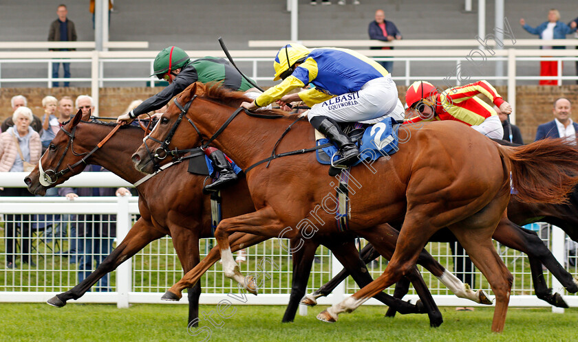 Chocoya-0004 
 CHOCOYA (right, Ryan Moore) beats SILENT FLAME (left) in The European Bloodstock News EBF Lochsong Fillies Handicap
Salisbury 2 Sep 2021 - Pic Steven Cargill / Racingfotos.com